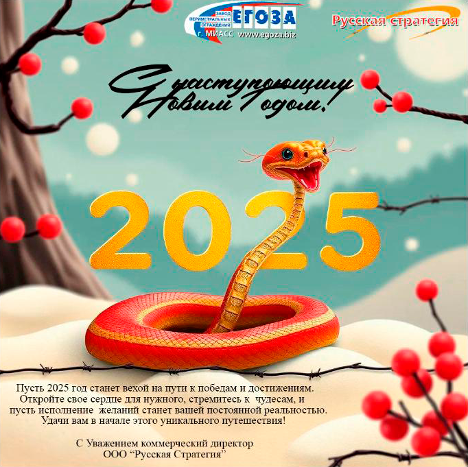 С Новым годом! С Новым годом!